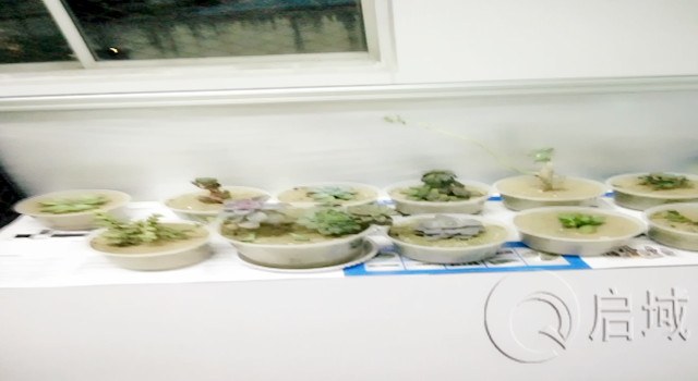 春水堂视频黄APP金属办公室